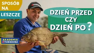 Zanęta dzień przed czy dzień po? Test akwarium - zobacz sposób na duże leszcze #AKADEMIAROBINSONA 94