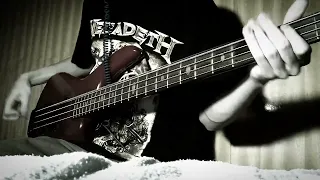 Desmond Doom- It's All Falling Down (Bass Cover)