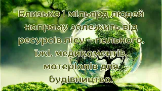 21 БЕРЕЗНЯ - ВСЕСВІТНІЙ ДЕНЬ ЛІСІВ.