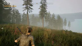 Hunting Simulator 2