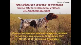 Награждение. Краевые  состязания + комплекс континентальных легавых ...