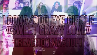 LOONA/ODD EYE CIRCLE (이달의 소녀 오드아이써클) Sweet Crazy Love - REACTION MASHUP