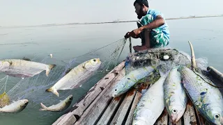 ব্রহ্মপুত্র নদীতে ইলিশ মাছ ধরতে গিয়ে কি হইলো দেখুন। Hilsa Fishing video in the Brahmaputra river.