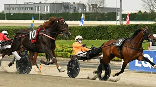 BANDERAS BI-ALWAYS EK-DAUGHTER AS | GRAN PREMIO COSTA AZZURRA DI TORINO | IPPODROMO VINOVO 7/4/2024