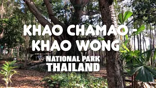 Национальный парк Khao Chamao. Медведи в джунглях в паре часов езды от Паттайи. Водопад. #2