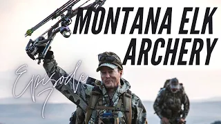 Big Bull On the Run | September 2021 | Montana Archery Elk