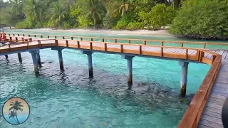 Kuramathi MALDIVES Resort 🌴🌴🌴|  FULL Resort HD TOUR | FHD Vlog Maldives