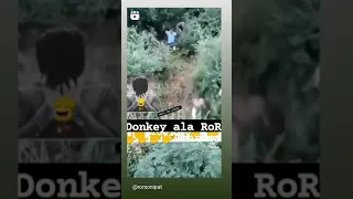 usa donkey do numbri 🇺🇸🇺🇸 whatsapp status  usa lover #donkey #donumbri #ielts #america #punamajungal