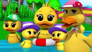 Lima Bebek Kecil | sajak pembibitan | lagu anak anak | Preschool Songs | Five Little Ducks