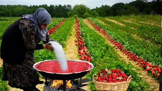 Strawberry Harvesting - Making Fresh Strawberry Jam in the Village