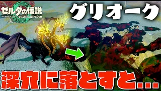 強敵グリオークをこっそり深穴にぶちこんだ結果が衝撃過ぎた...！【ゼルダの伝説ティアーズオブザキングダム】【Totk】