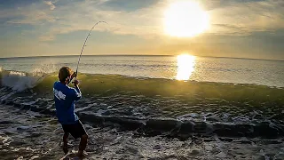 Monster Fish on the Beach! - Surf Fishing