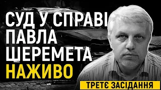 Суд у справі про вбивство Павла Шеремета. Третє засідання. Вступні промови адвокатів