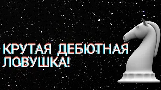 В эту ЛОВУШКУ попадают все сильные шахматисты! Шахматы. Шахматы дебюты