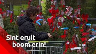 Sinterklaas eruit, de kerstboom erin! Het mag weer!