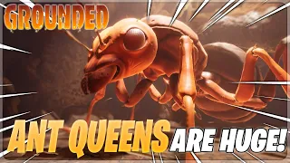 These New* Ant Queens Are INSANE! | Grounded Gameplay Walkthrough - Part 4