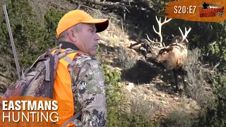 Crazy Nontypical Bull! Colorado Elk Hunt