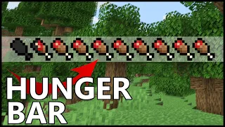 How Does HUNGER Work In Minecraft