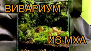 Маленький вивариум из мха.