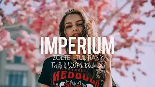 Imperium - Żółte Tulipany (Tr!Fle & LOOP & Black Due Remix) NOWOŚĆ DISCO POLO 2021