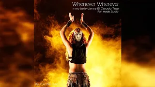 Shakira - Whenever Wherever Intro Belly Dance El Dorado Tour (Fan Made Studio)