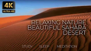 4K Relax Nature /Sahara Desert