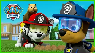 Tlapková patrola: mise týmové práce Velké záchrany! - Tlapková Patrola PAW Patrol - pohádky pro děti