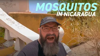 Mosquitos in Nicaragua - Vlog 24 March 2022