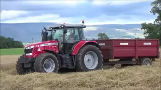 Harvest 2016 - Combining Winter Barley with Massey Ferguson 32