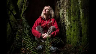 Under the Redwoods: Suzanne Simard and Discovering the Wisdom of the Forest