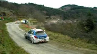 peugeot 207rallye monte carlo