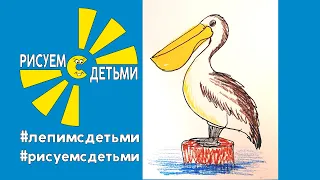 Как нарисовать ПЕЛИКАНА. Рисуем с детьми экзотических птиц. How to draw a PELICAN.