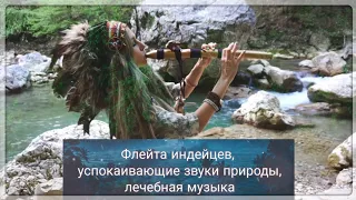 Флейта индейцев, лечебная музыка, звуки природы, река, лес, гармония |🌱soundhealing |Annie Shakti