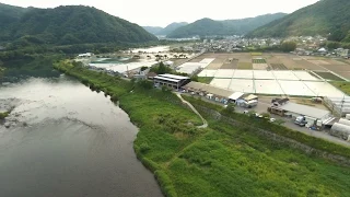 Okayama Momotaro Koi - Aerial View -  May 2015