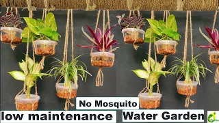 Hanging Water Garden/Without Mosquito Water Garden/Plants Grow Only In Water/ORGANIC GARDEN