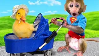 Monkey Baby Bon Bon makes the duckling go to the toilet and Eats Ice Cream with puppy at the pool