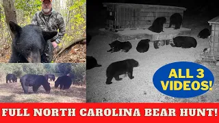 FULL North Carolina bear hunt with Doug Temple | all 3 VLOGS