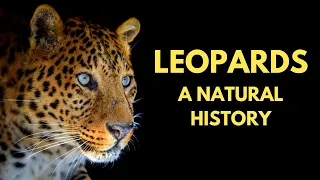 Leopards - A Natural History