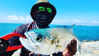 23 Shimano Vanquish Caught Big QueenFish on and Light Medium Set Up!!