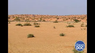 What is a hunting day like in the Skeleton Desert? We explain it to you in this documentary