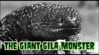 The Giant Gila Monster - horror movie 1959 (widescreen, complete)