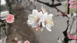 Весенние зарисовки. Просто природа. / Spring. Nature. / Весняні пейзажі.