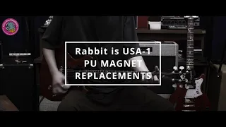 ピックアップマグネット交換 Rabbit is USA-1 芳賀義彦さん (ヨティさん)