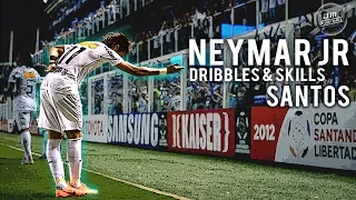 Neymar Jr | Dribbles & Skills Santos | HD