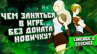 Чем заняться в игре без доната с пользой | Lineage 2 Essence