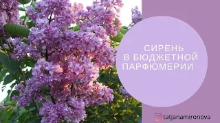 Сирень в бюджетной парфюмерии