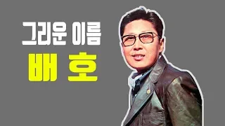 배호노래모음(누가울어 당신 돌아가는 삼각지 두메산골)