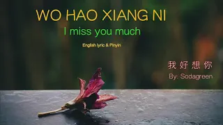 Wo Hao Xiang Ni lyric I Miss You Much   Pinyin   English   Learn Chinese by songs720P HD