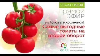 Самый выгодный томат на второй оборот | Прямой эфир | 23 мая 19:00