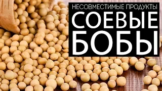 Несовместимые продукты. Соевые бобы